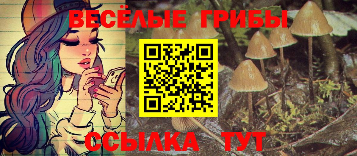 Галлюциногенные грибы MAGIC MUSHROOMS Котовск